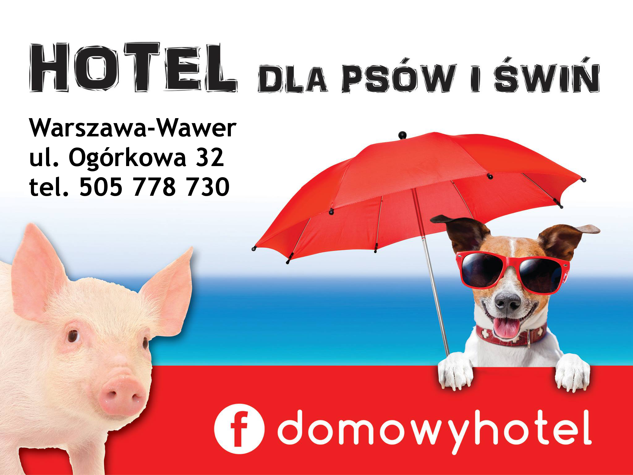 Domowy hotel dla psw i wi